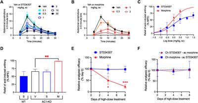 A Selective Adenylyl Cyclase 1 Inhibitor Relieves Pain Without Causing Tolerance